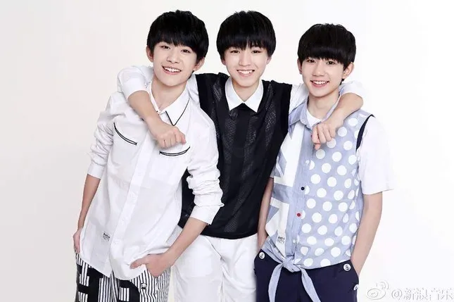 Fan TFBOYS: "Vì sao chúng mình tự hào vì là Tứ Diệp Thảo?" ảnh 3